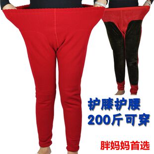 Pantalon collant en coton - Ref 748894 Image 25