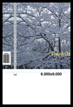 【预售】Momentary Madness