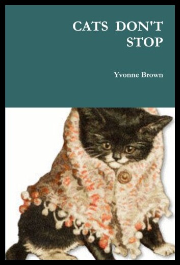 【预售】Cats Don't Stop