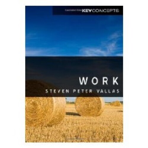 【预订】Work - a Critique