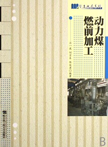 动力煤燃前加工 书店 吕一波 煤化学及煤的加工利用书籍 畅销书