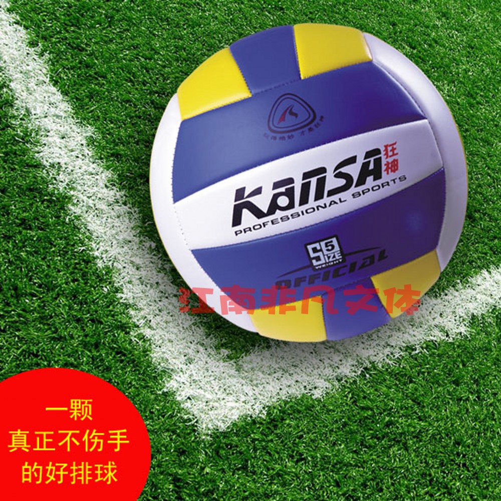 Ballon de volley-ball - Ref 2010510 Image 1