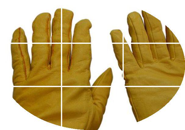 Article équitation pour homme - Ref 1379503 Image 1