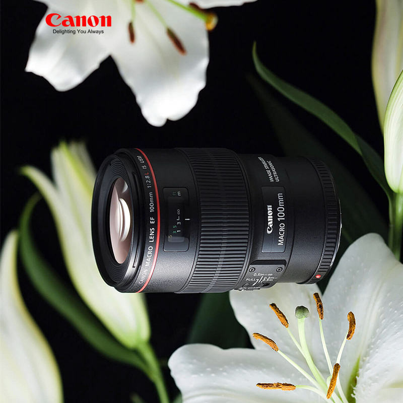 佳能100微距红圈镜头 EF 100mm f/2.8L IS USM 新百微 包邮 正品