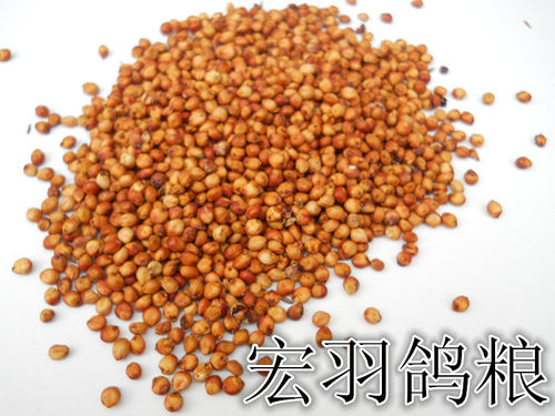 鸽粮酿酒原料红高粱米未脱皮