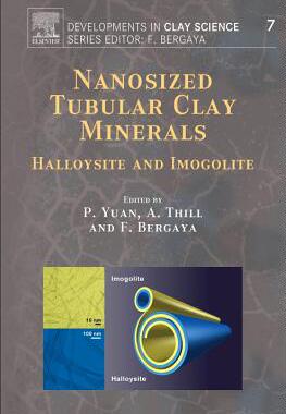 【预订】Nanosized Tubular Clay Minerals