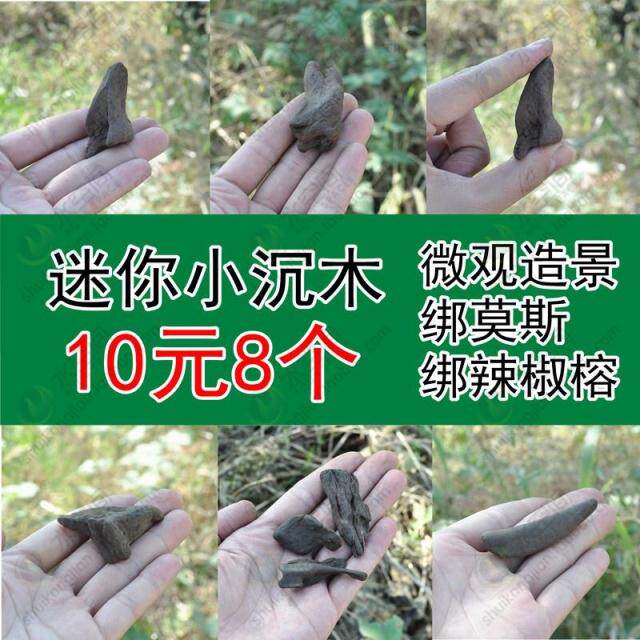 【水空间】特价促销小绑莫斯沉木