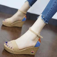 Nêm dép nữ 2019 hè mới thời trang hoang dã màu sắc phù hợp với nền tảng không thấm nước khóa từ giày đế bệt - Sandal dép quai hậu nữ 2021