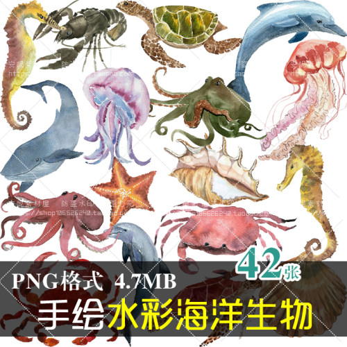 (J146)免抠PNG手绘水彩海洋动物鲸鱼海马海星乌龟螃蟹鲨鱼PS素材