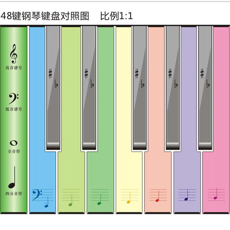 48健彩色钢琴键盘纸 1比1电子琴钢琴图 五线谱位置对照图 对照卡 早教