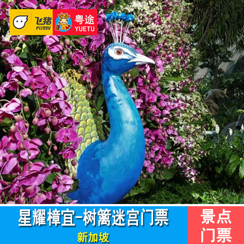 [星耀樟宜-树篱迷宫]新加坡星耀樟宜树篱迷宫门票