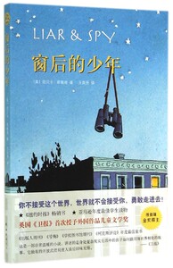 窗后的少年