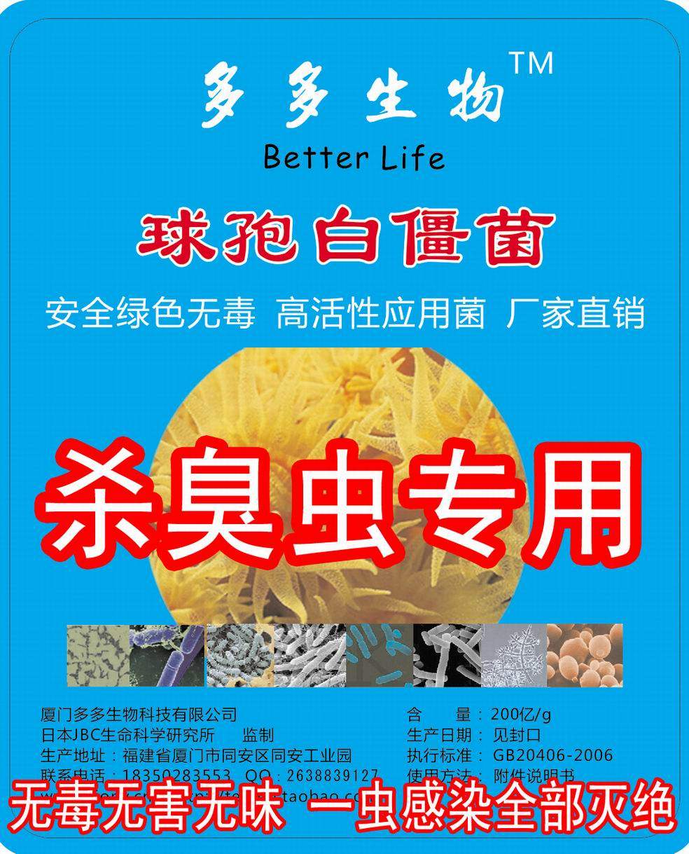 白僵菌 球孢白缰菌 臭虫白缰菌 100克