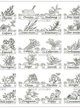 A3038矢量香草植物调料手绘线稿图大蒜薄荷百里香生姜 AI设计素材