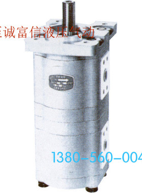 CBWL-E316/E310-TFZL 双联齿轮油泵 合肥长源液压 合肥赛源液压
