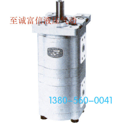 CBWL-E316/E310-TFZL 双联齿轮油泵 合肥长源液压 合肥赛源液压