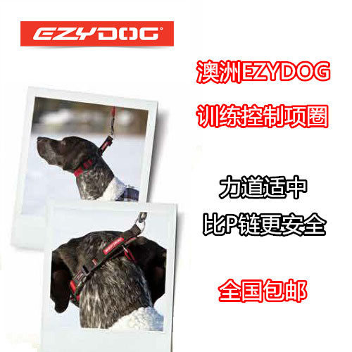 包邮 澳洲EZYDOG易吉狗训练控制项圈 取代P链 大型犬防爆冲