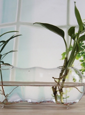玻璃容器植物水养盆栽落地花瓶