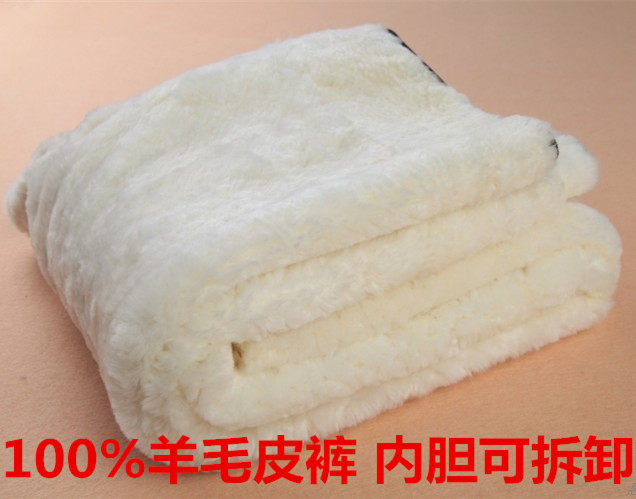 Pantalon cuir homme droit pour hiver - Ref 1492829 Image 1