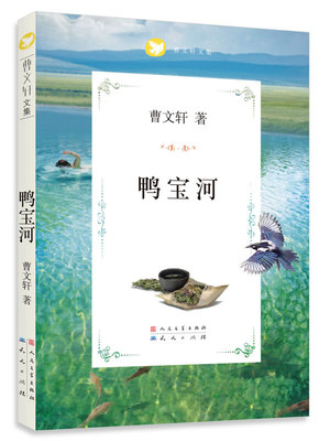 正版 鸭宝河 曹文集 9-12-14岁儿童文学故事书 三四五六年级青少年课外书籍 小学生成长小说 草房子/青铜葵花作者曹系列书