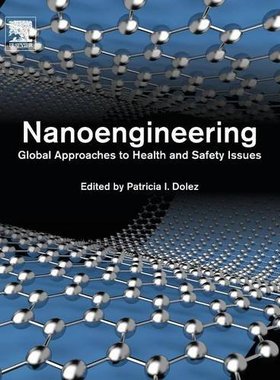 【预订】Nanoengineering