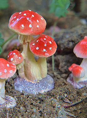 迷你心理苔藓配件树脂工艺盆景