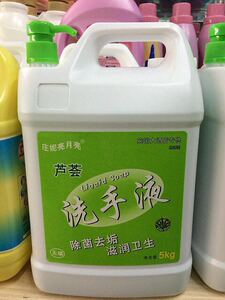 庄妮亮妮丝丽抗菌清凉舒爽月亮 芦荟洗手液经济装 5kg只发托运
