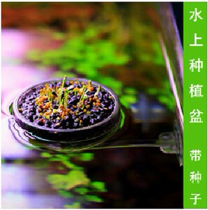满百包邮ETB美易 鱼缸吸附式植物盆栽 水下水上盆栽带种子微景观
