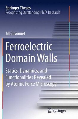 【预订】Ferroelectric Domain Walls: Statics,...