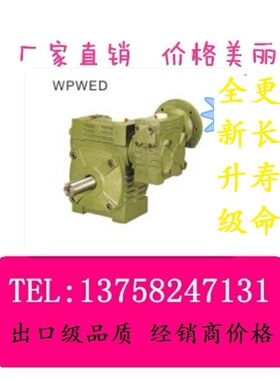WPWED减速箱立式双级蜗轮蜗杆铸铁电机法兰输入涡轮减速器减速机