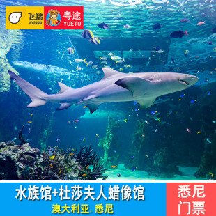 [悉尼海洋生物水族馆门票+悉尼杜莎夫人蜡像馆门票]二景点联票