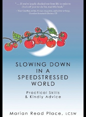 【预售】Slowing Down in a Speedstressed World: Practical