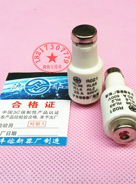 10只盒上海沪丰熔断器R021 RO21 RL96 RL93熔芯2A4A6A8A10A16A20A