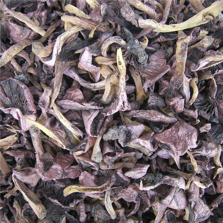 北京野生干红蘑菇特产3两