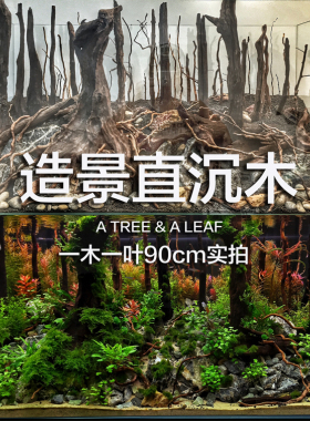 草缸直沉木套餐 造景木 草缸造景 一木一叶雨林景 原创设计 定制
