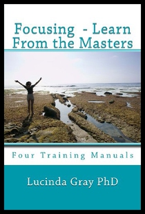 Learn Training Focusing Masters Four the 预售 from