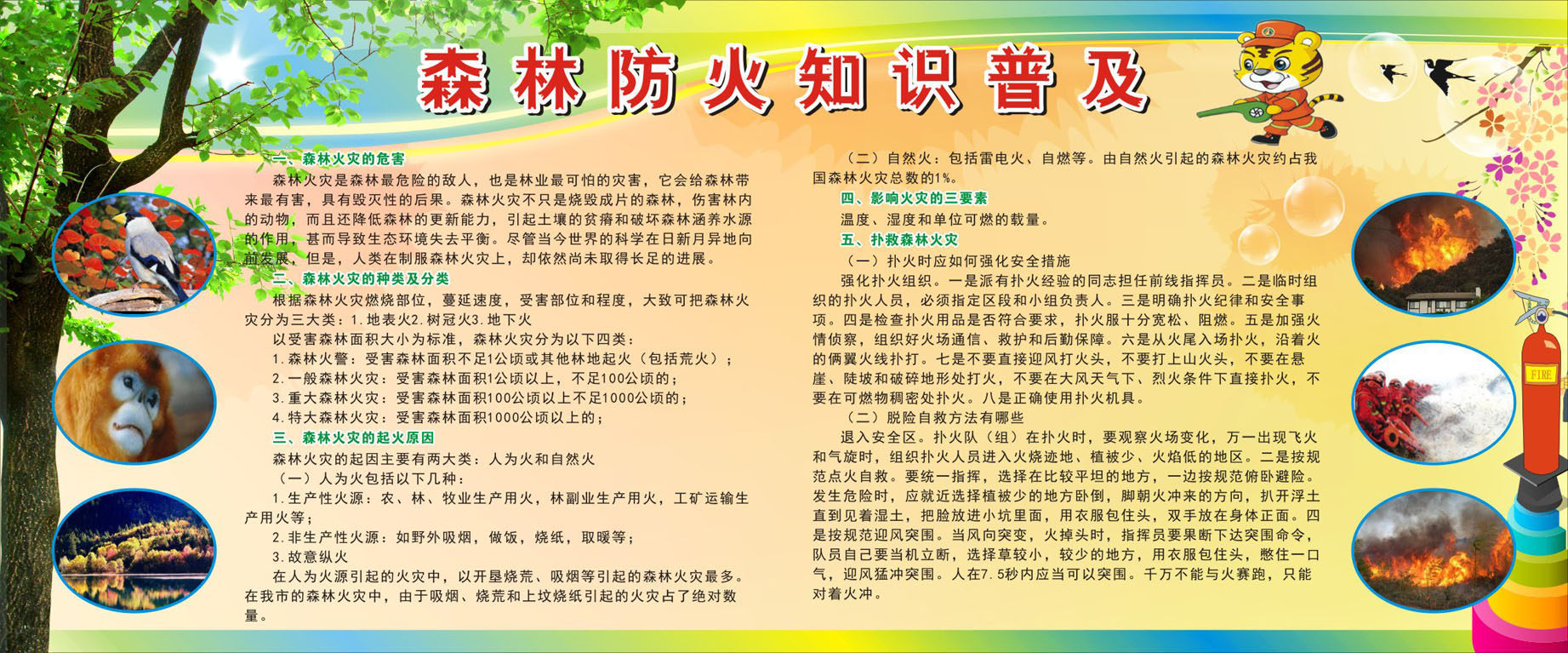 740海报印制展板写真喷绘贴纸598消防安全森林防火知识宣传栏