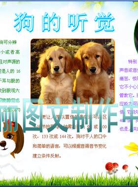 人类的朋友狗的听觉调查报告电子小报成品动物科普知识模板958