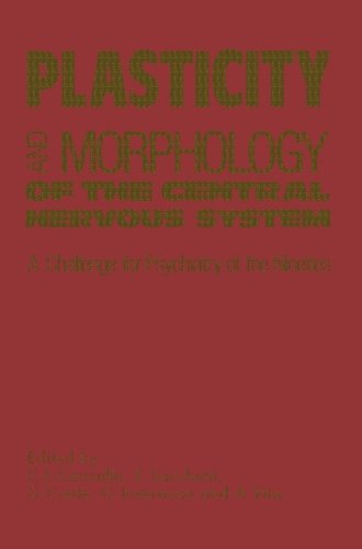 美国库房发货,通常付款后5-8周到货！