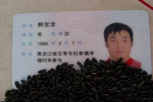 2020年新黑米粥东北五常黑香米五谷杂粮黑龙江农家自产10斤砖包邮