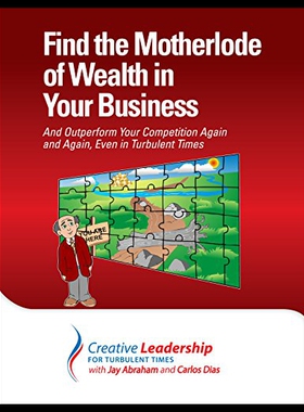 【预售】Find the Motherlode of Wealth in Your Business