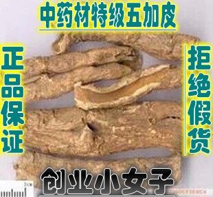 中药材正品新货香五加皮干500g克天然无硫精选北五加皮中草药