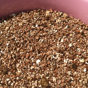 满10元包邮 蛭石 500ml 营养土育苗基质 多肉扦插生根 宠物孵化