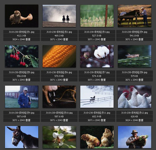 农业经济图片 家畜家禽 畜牧养殖 劳动生产 农田菜地 素材图片