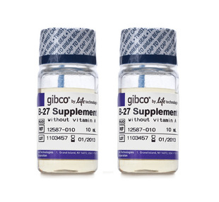12587 GIBCO原装 010 B27培养基 50X 无维生素A型B 27添加剂