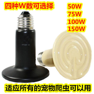 陶瓷加热保温灯 爬虫陶瓷加热器陆龟陶瓷灯宠物龟箱夜灯保温取暖