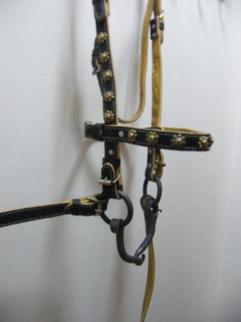 经典老样式  绝了