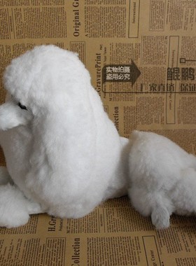 贵妇犬摆件皮毛工艺品
