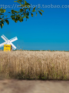 mycolor8 PS 影楼摄影背景 百天宝宝 儿童背景 素材大图16-56