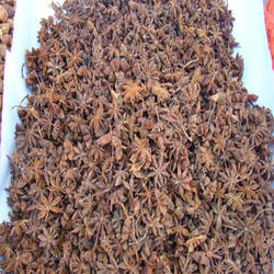 广西玉林大红八角茴香 无硫八角干茴香精油原料1000G包邮